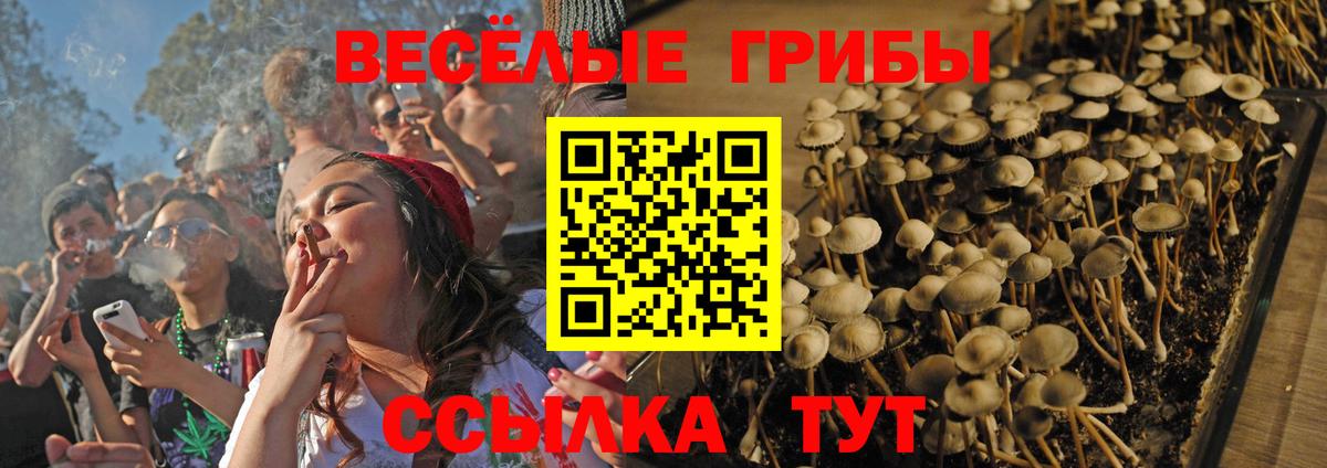 Галлюциногенные грибы Psilocybine cubensis  Вход с VPN  Вышний Волочёк  Галлюциногенные грибы прущие грибы 